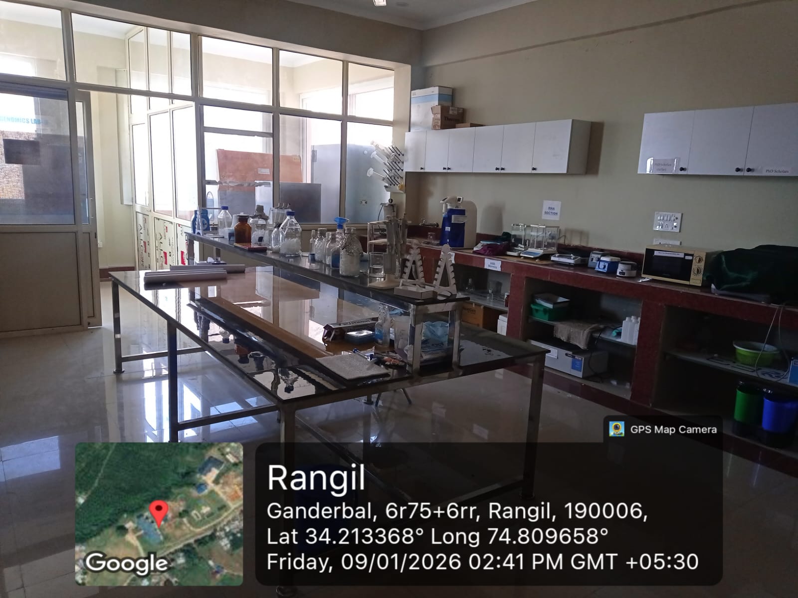 Genetic interventions for growth and breeding in cold water fishes